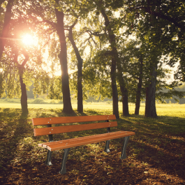 Banc urbain lugo en bois