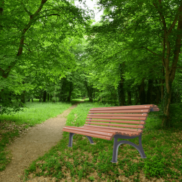 Banc urbain Plaza, 200cm, 19 lames en bois exotique traité avec protecteur fongicide