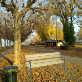 BANC URBAIN MODO PIN